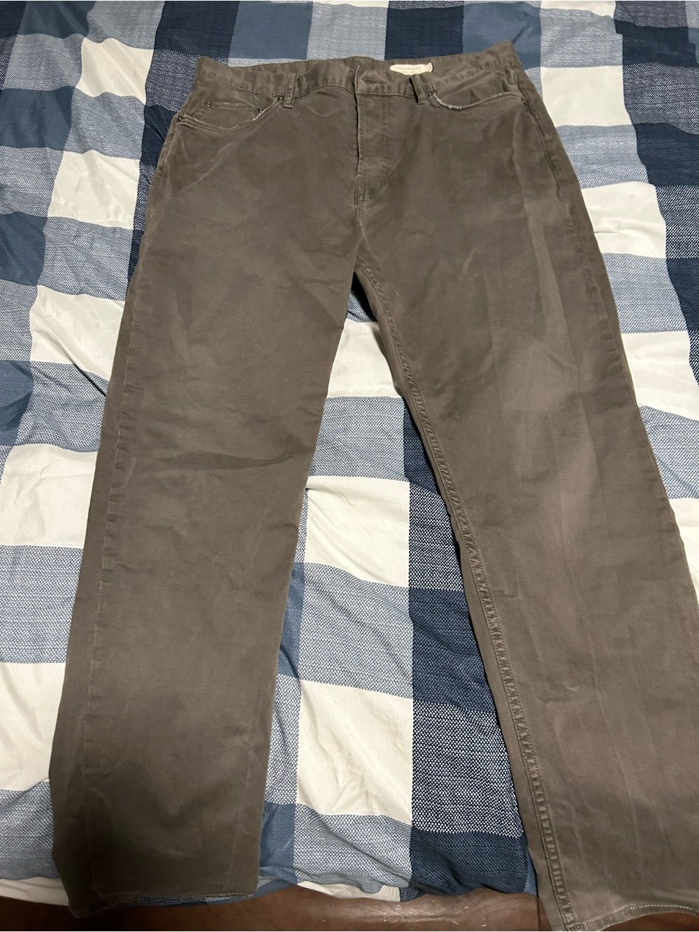 Casual Straight-Leg Pants in Brown